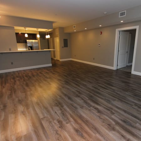 770 Elmwood Apartments's apartment living room