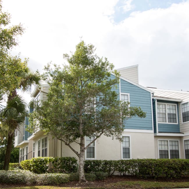An apartment with a tree in front of it at Fairways at Feather Sound in Clearwater, FL