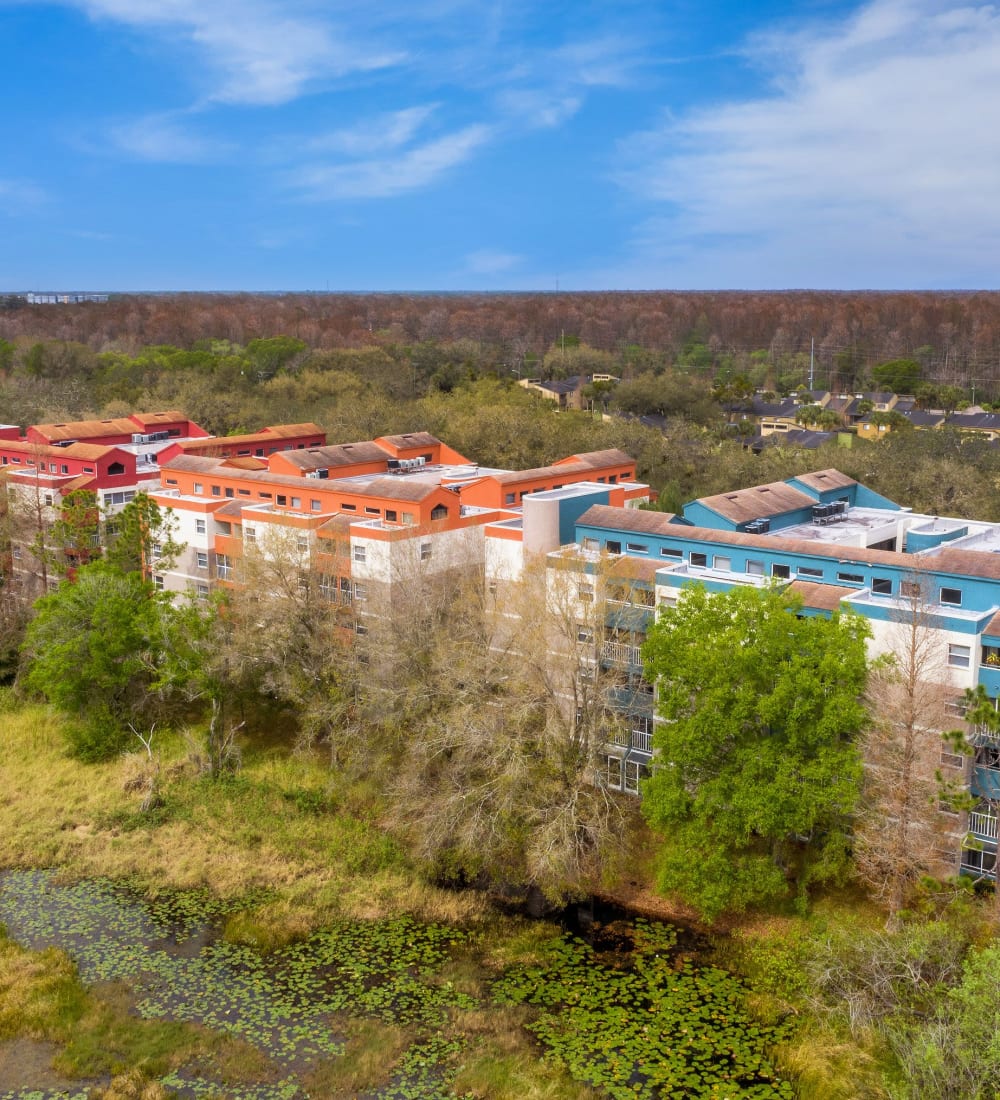 Aerial view of the community at On50 in Tampa, Florida
