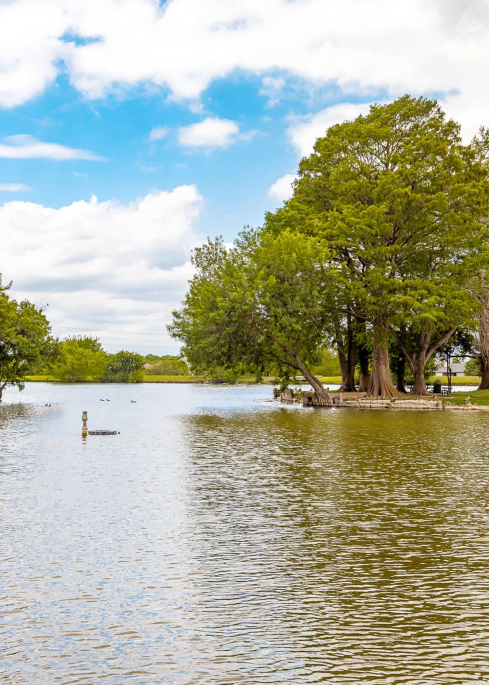 Rendering lake at Acadia in San Antonio, Texas