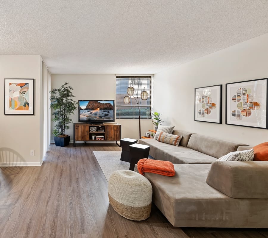 Spacious model living room with modern furnishings at New Barn Apartments in Miami Lakes, Florida