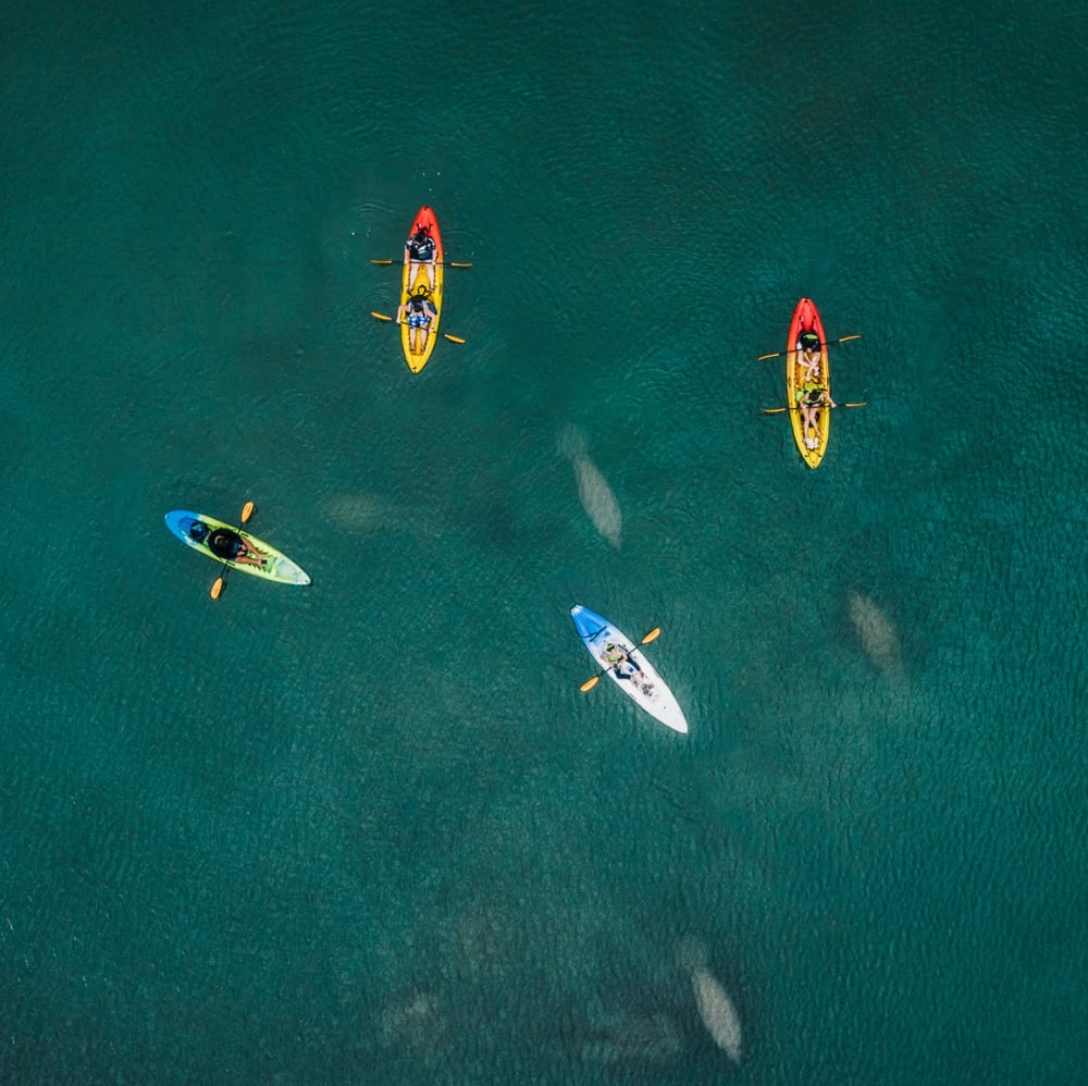 Kayaking on the water near The Columns at Bear Creek in New Port Richey, Florida