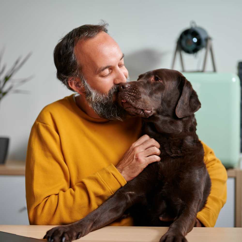 Pet-Friendly Apartments at Pointe at Northern Woods, Columbus, Ohio