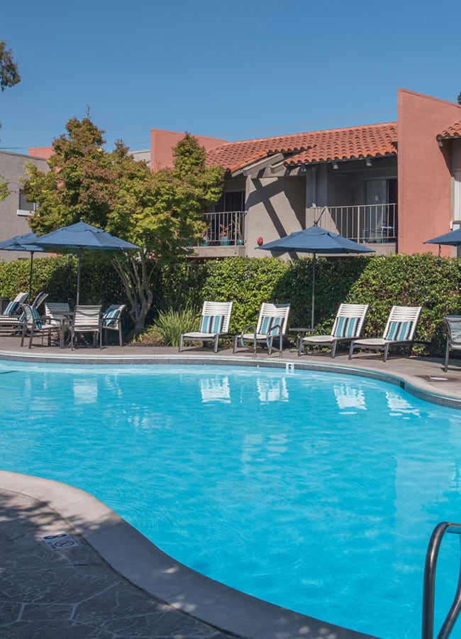 Poolside lounge chairs shaded by an umbrella at La Valencia Apartment Homes in Campbell, California