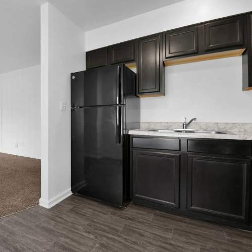 Kitchen with dish washer at Greentree in Indianapolis, Indiana
