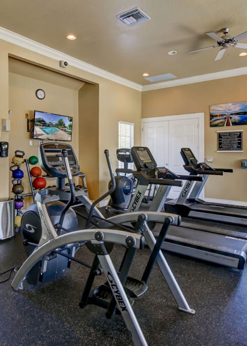 Learn more about amenities at Sole at Citrus Park in Tampa, Florida