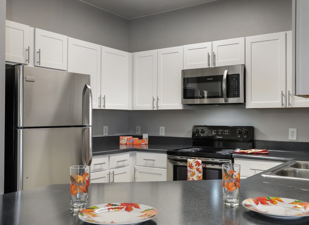 Sleek modern appliances in an apartment kitchen at Hawthorne Hill Apartments in Thornton, Colorado