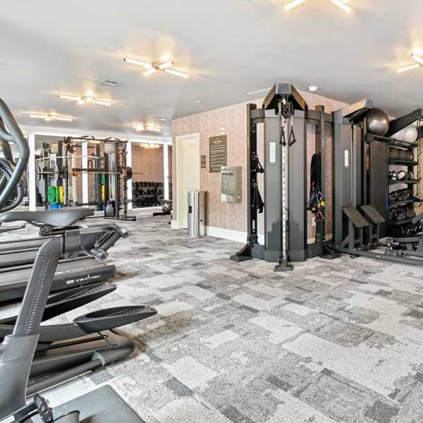 Remi offers a wide variety of amenities in Dallas, Texas