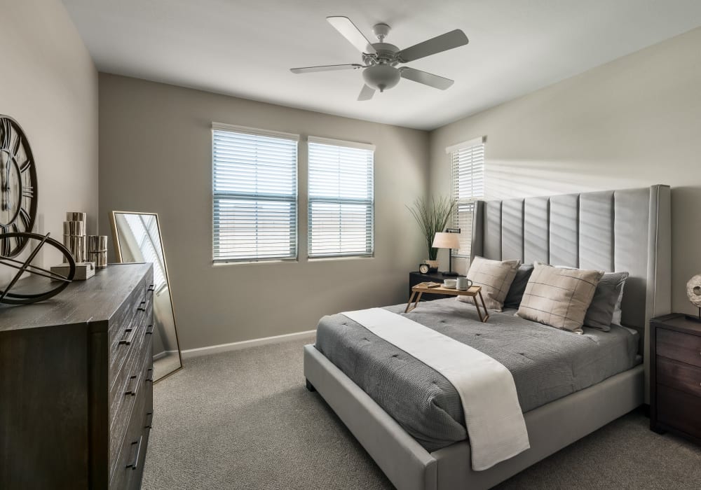 Cozy and roomy bedroom with carpeted floors in a model home at BB Living Light Farms in Celina, Texas