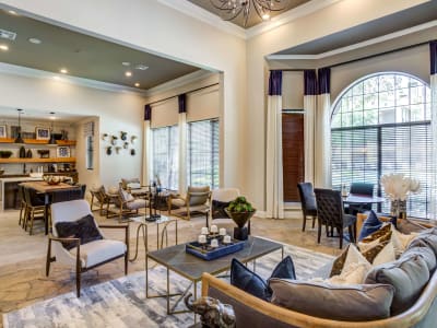 View amenities at Sola Westchase in Houston, Texas