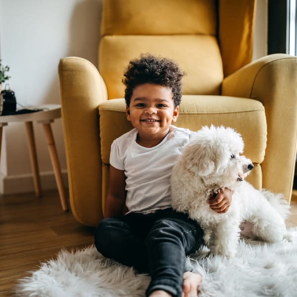 Child dog enjoying their comfortable living room at The Mallory in Raleigh, North Carolina