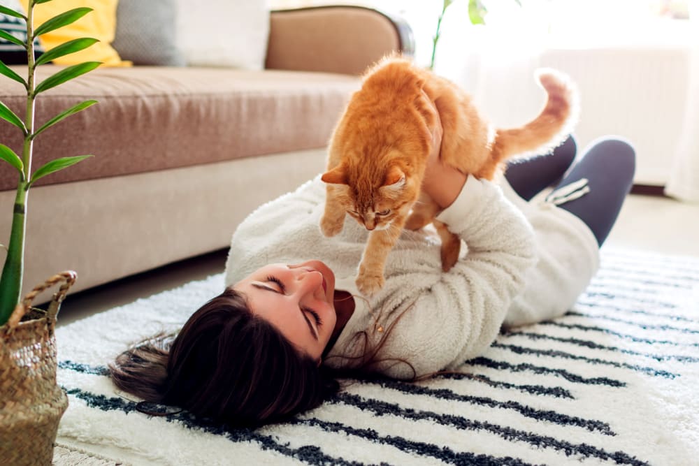Resident loving on her cat at Lake Jonathan Flats in Chaska, Minnesota