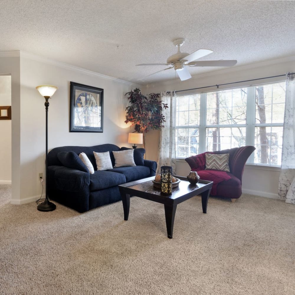 Living room with a large window at Carrington Point in Douglasville, Georgia