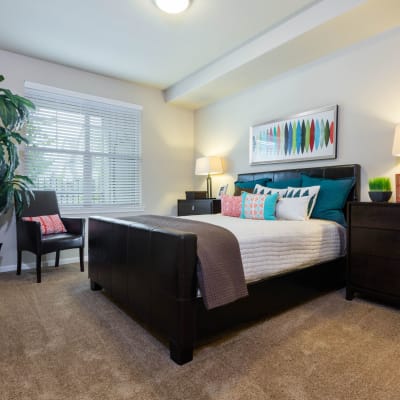 Model bedroom with carpet and large windows at The Jones in Hillsboro, Oregon