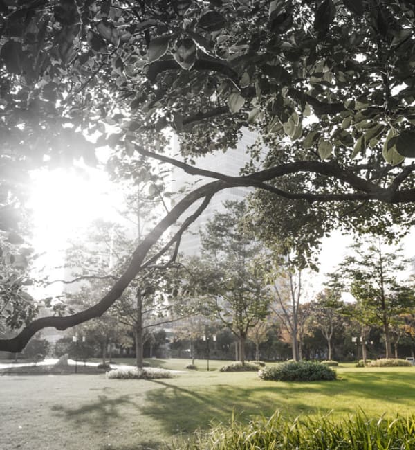 Beautiful parks near Carlsbad
