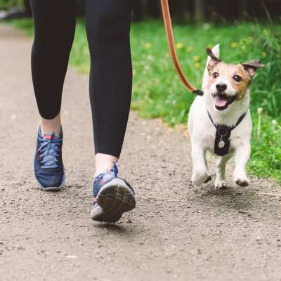 Resident running with pet dog atAvenue at Converse in Converse, Texas