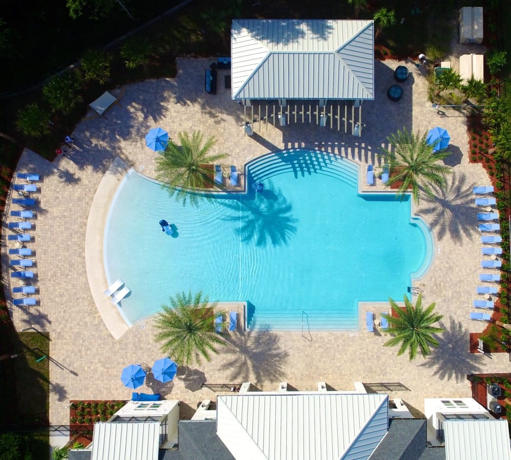 Aerial view of the swimming pool area at Alaqua in Jacksonville, Florida