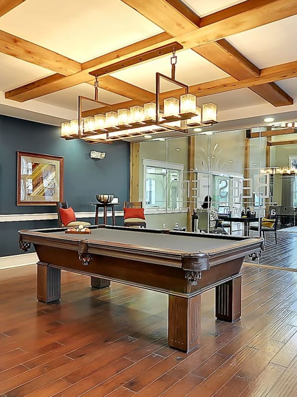 Pool table in the resident lounge at Bees Ferry in Charleston, South Carolina