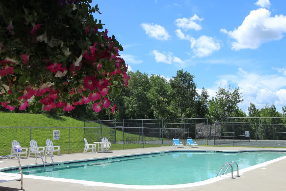 Pool and beautiful flowering tree at Lake Shore Park Apartments in Watervliet, New York