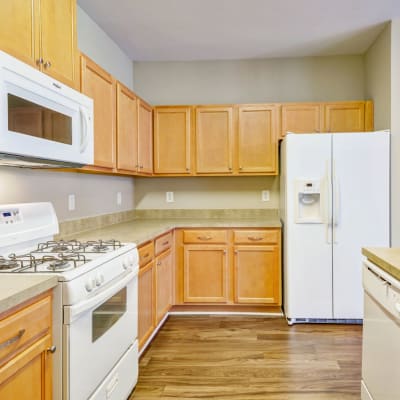 A kitchen with a dishwasher, fridge, and microwave at Midway Manor in Virginia Beach, Virginia