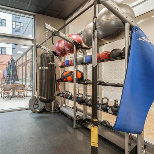 Rack of medicine balls in the fitness center at Parc at Lyndhurst in Lyndhurst, New Jersey