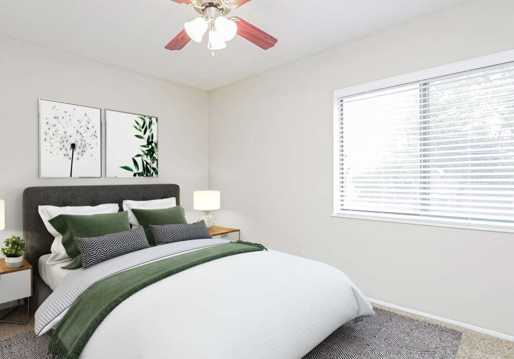 modern bedroom with large bed, ceiling fan and wall art at Courtyard Apartments in Columbia, Missouri