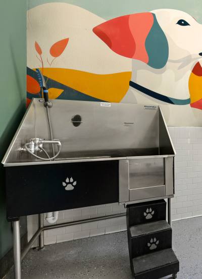 Pet spa at Circa at Fishhawk Ranch in Lithia, Florida
