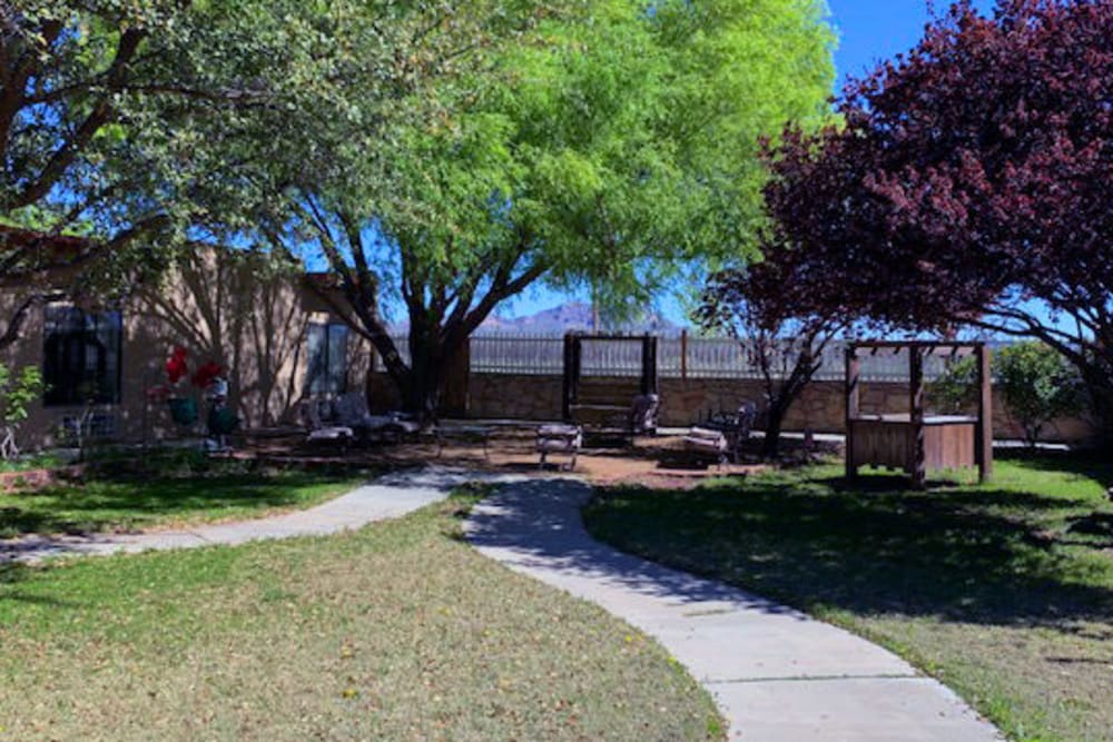 Exterior view of senior living community with winding path and large tree at Desert Peaks Assisted Living and Memory Care in Las Cruces, New Mexico.