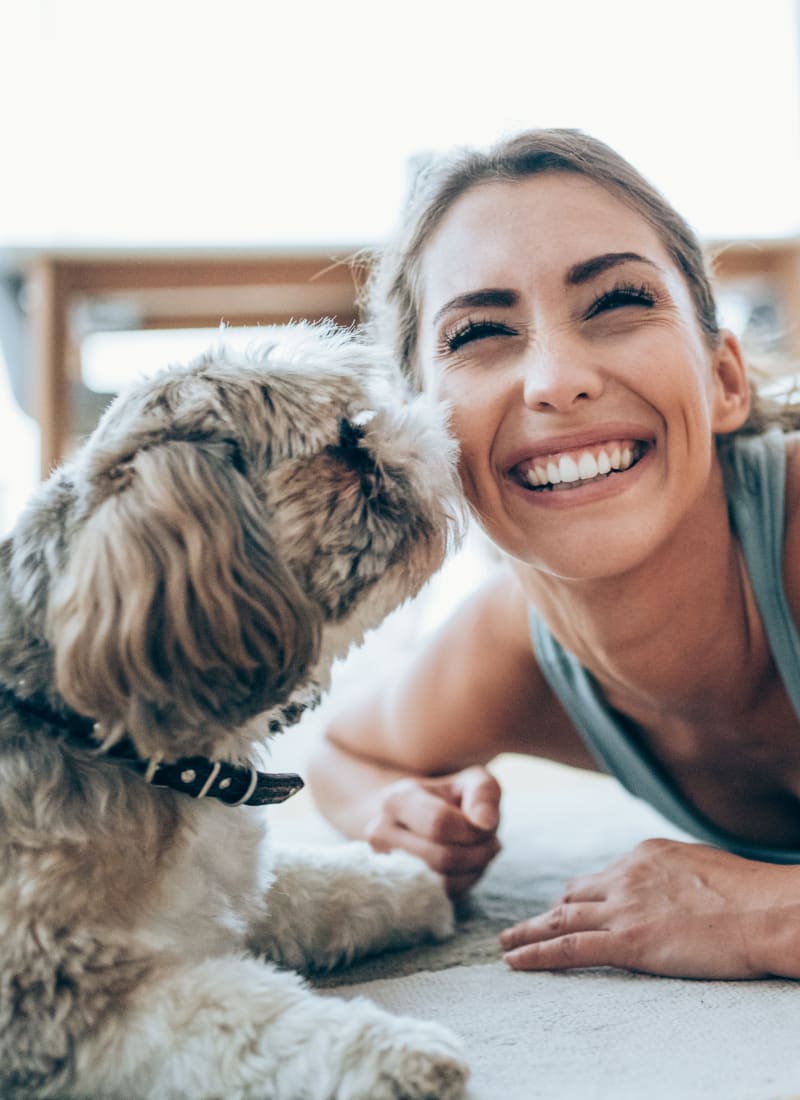 Breed restrictions at Azure Creek in Cave Creek, Arizona