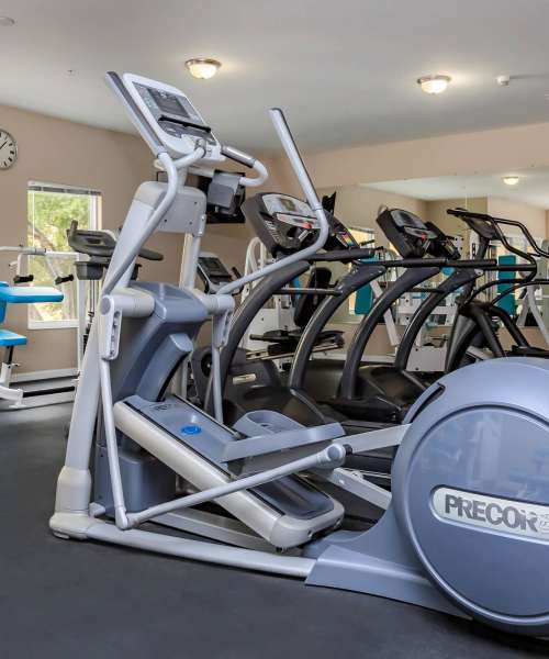 Fitness center at Adagio at Westshore Palms in Tampa, Florida