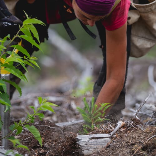 Woman planting trees for One Tree Planted is a 501C3 non-profit based in Vermont at Innovation Senior Living in Winter Park, Florida