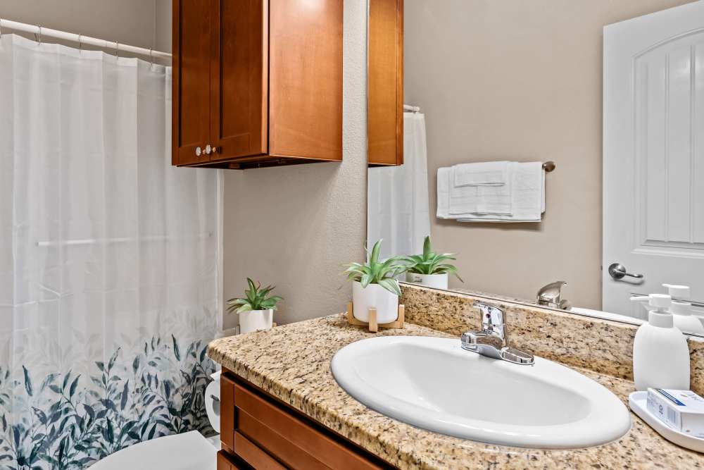 Bathroom at Stonegate in Hallsville,Texas