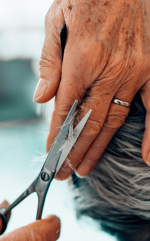 Close up of a person cutting hair at The Views at Lake Havasu in Lake Havasu City, Arizona