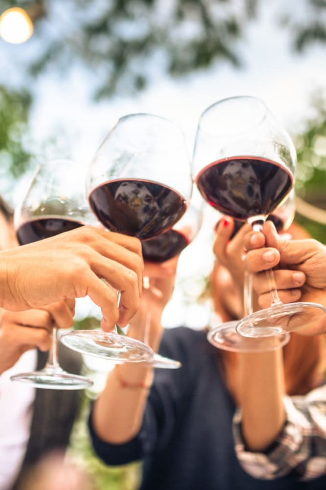 Residents cheering wine glasses at a gathering near Oak Grove Crossing Apartments in Newburgh, Indiana