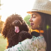 Pet-friendly at Derby Park in Round Rock, Texas