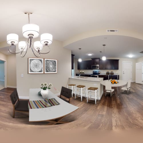 Modern kitchens available at Celebration Village Forsyth in Suwanee, Georgia