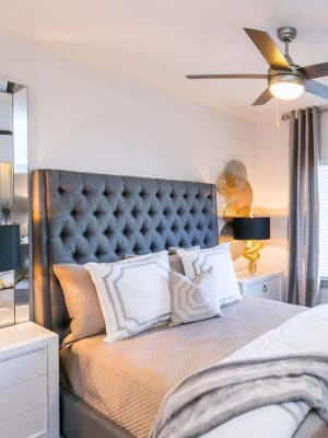 Elegant model master bedroom with plush carpeting and a ceiling fan at Argon in Oklahoma City, Oklahoma