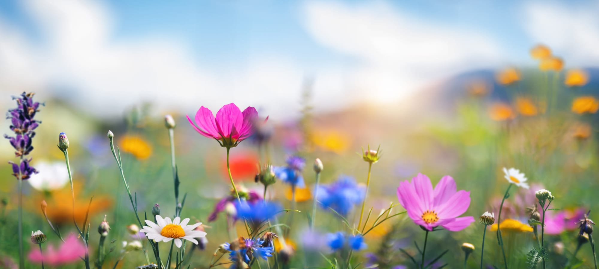 Grants Pass, Oregon senior living at The Suites Assisted Living and Memory Care