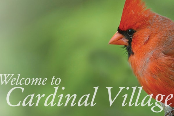 Cardinal Village in Sewell, New Jersey branding material