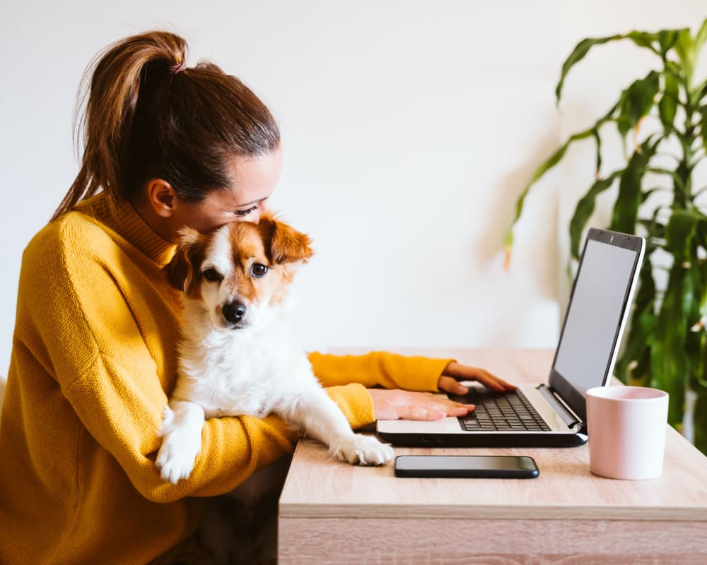 Resident working from her apartment home with her pup in her lap at Oaks Trinity in Dallas, Texas