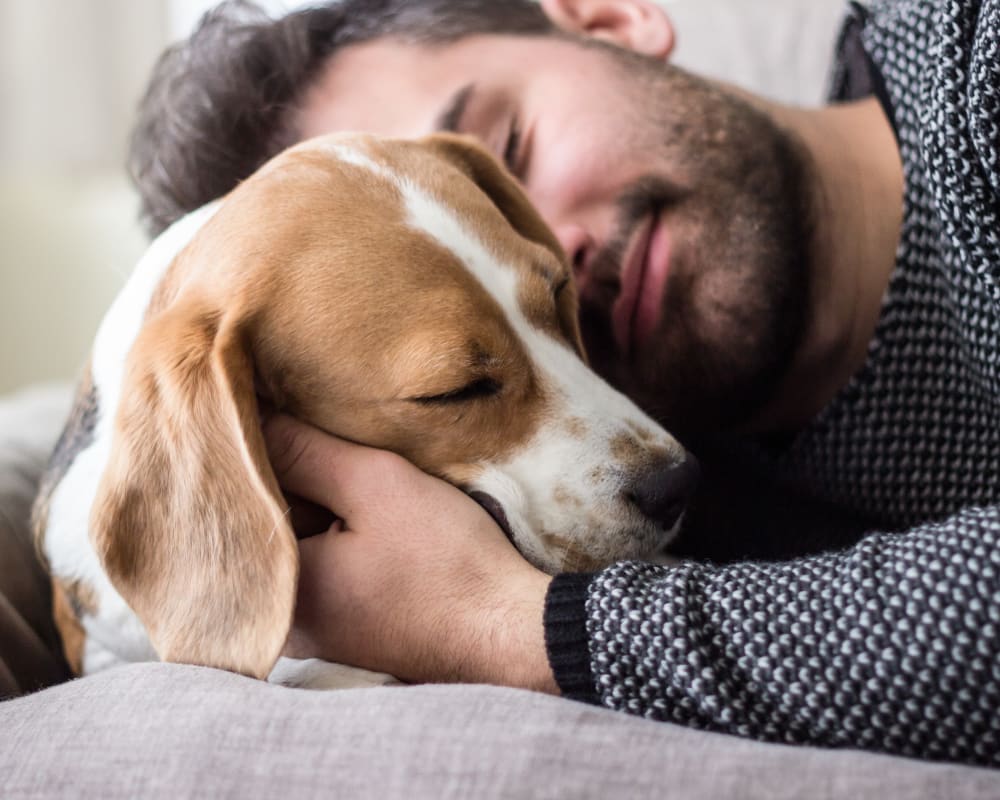 Resident and his dog relaxing in their new home at Oceanside Lantana in Lantana, Florida