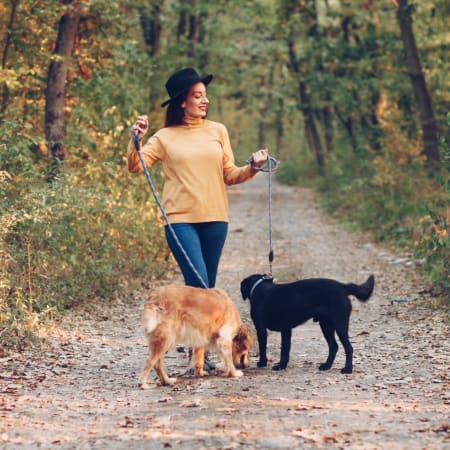 Resident waling her dogs near Hudson Oaks Active Adult Living in Bryan, Texas