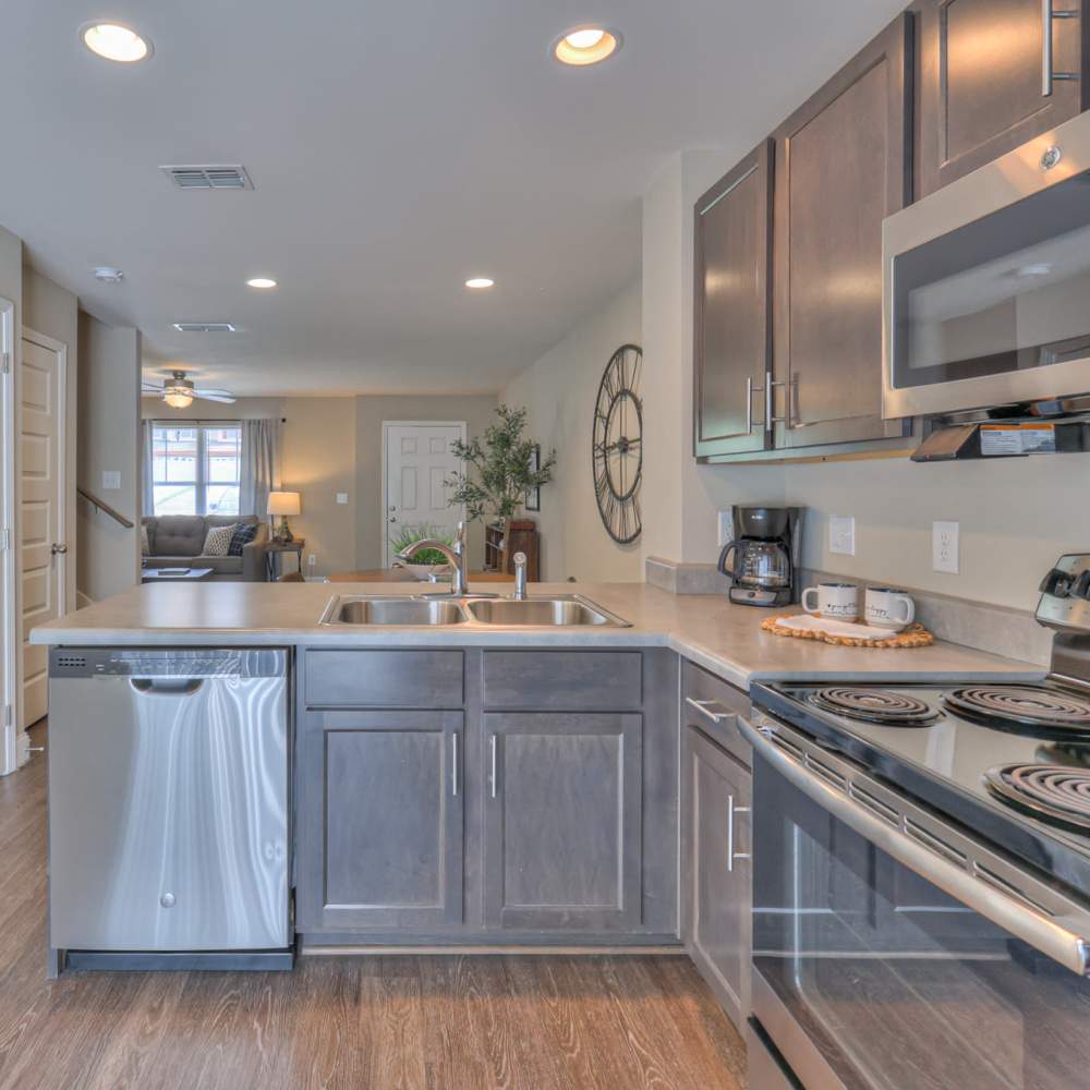 Dishwasher at Mill Springs Townhomes in Smyrna Tennessee