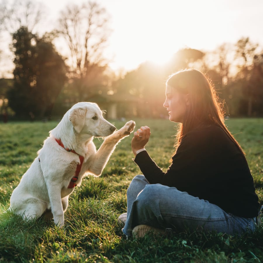 Resident and her dog outside at Lookout Hollow in Selma, Texas