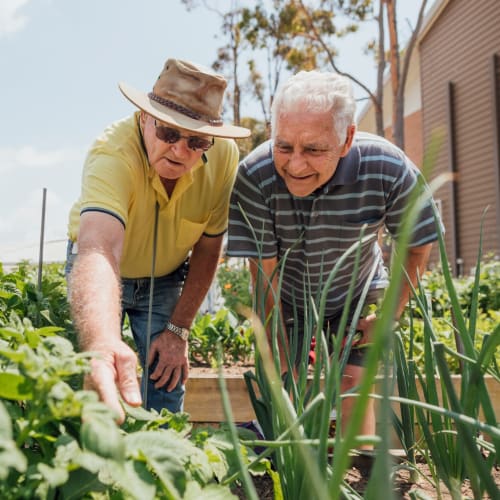 Residents enjoying gardening at Oxford Vista Wichita in Wichita, Kansas