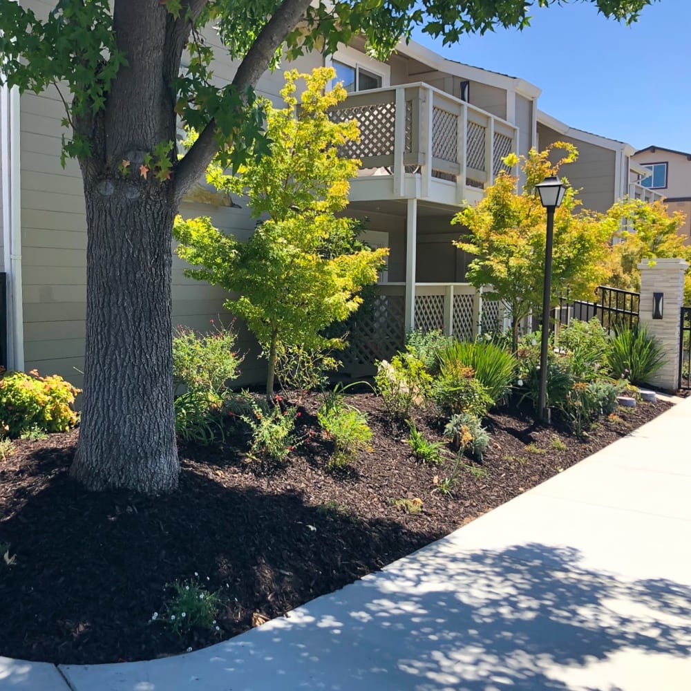 Picnic area at Cypress Pointe Apartments in Gilroy, California