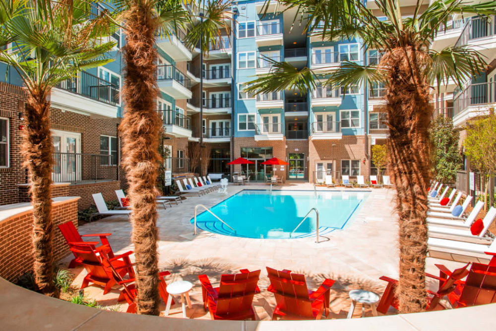Pool deck with red outdoor chairs and palm trees at Marq Midtown 205 in Charlotte, North Carolina