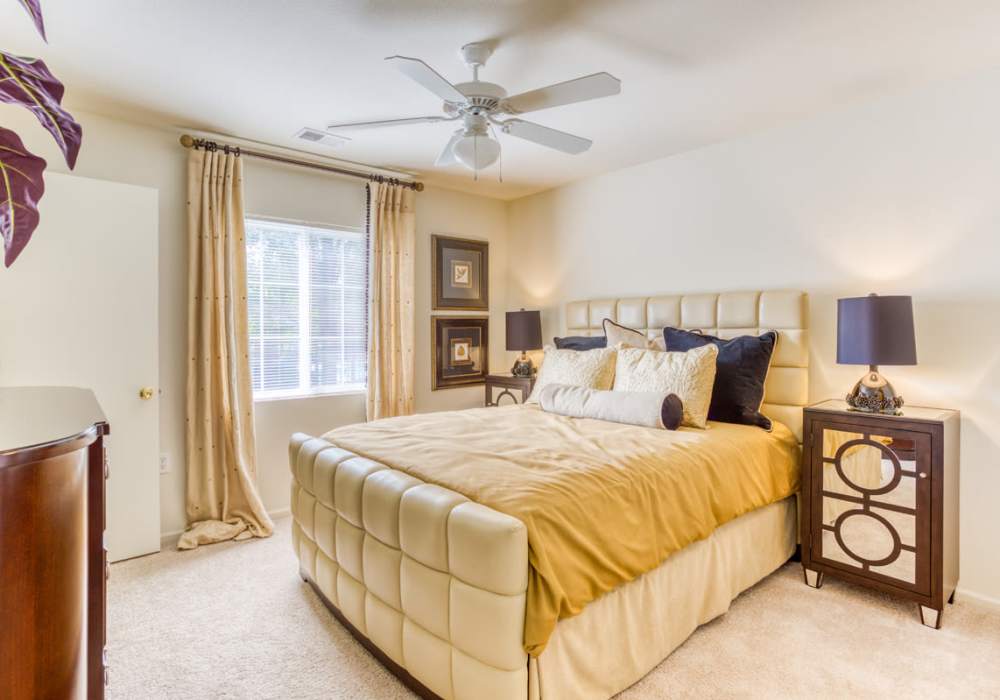 Well-lit bedroom with large window, plush carpet, and ceiling fan at Battleground North in Greensboro, North Carolina