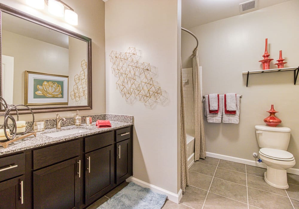 Modern furnished bathroom with upscale shower with single sink with a gold faucet and storage cabinets below at Greymont Village in Asheville, North Carolina