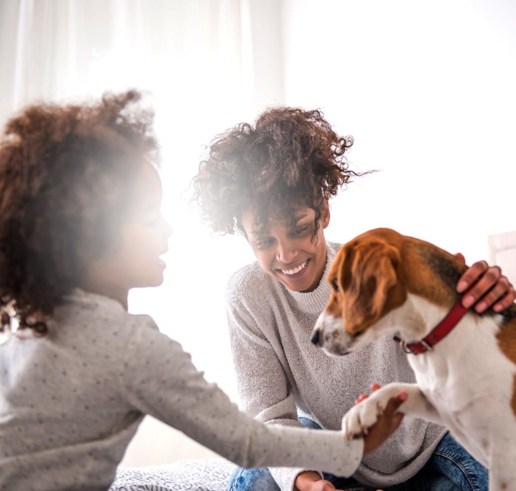 Family and their happy pup in their new home at The Timbers at Long Reach Apartments in Columbia, Maryland